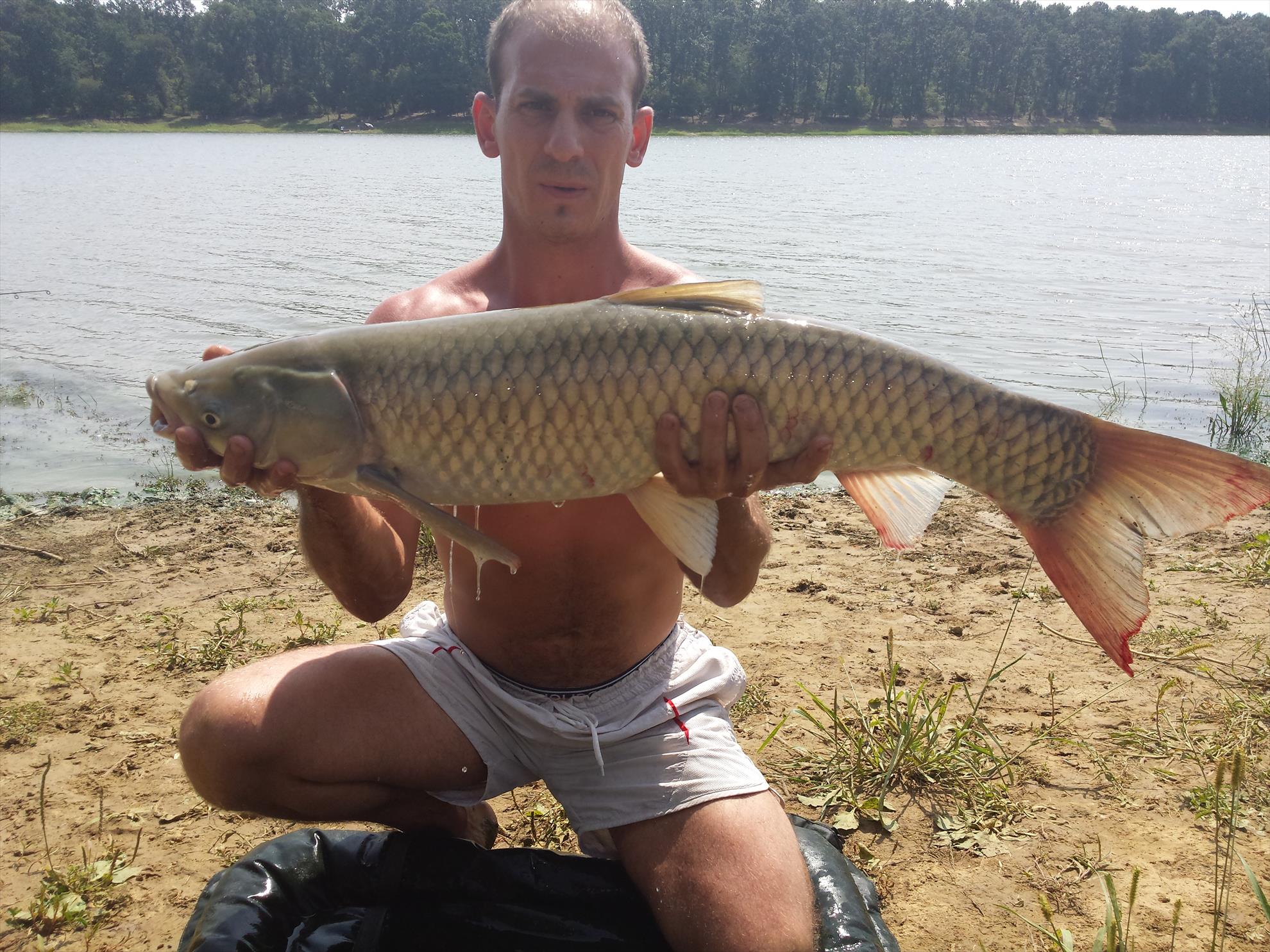 Lac cetariu Oradea  - 20140812123857.jpg